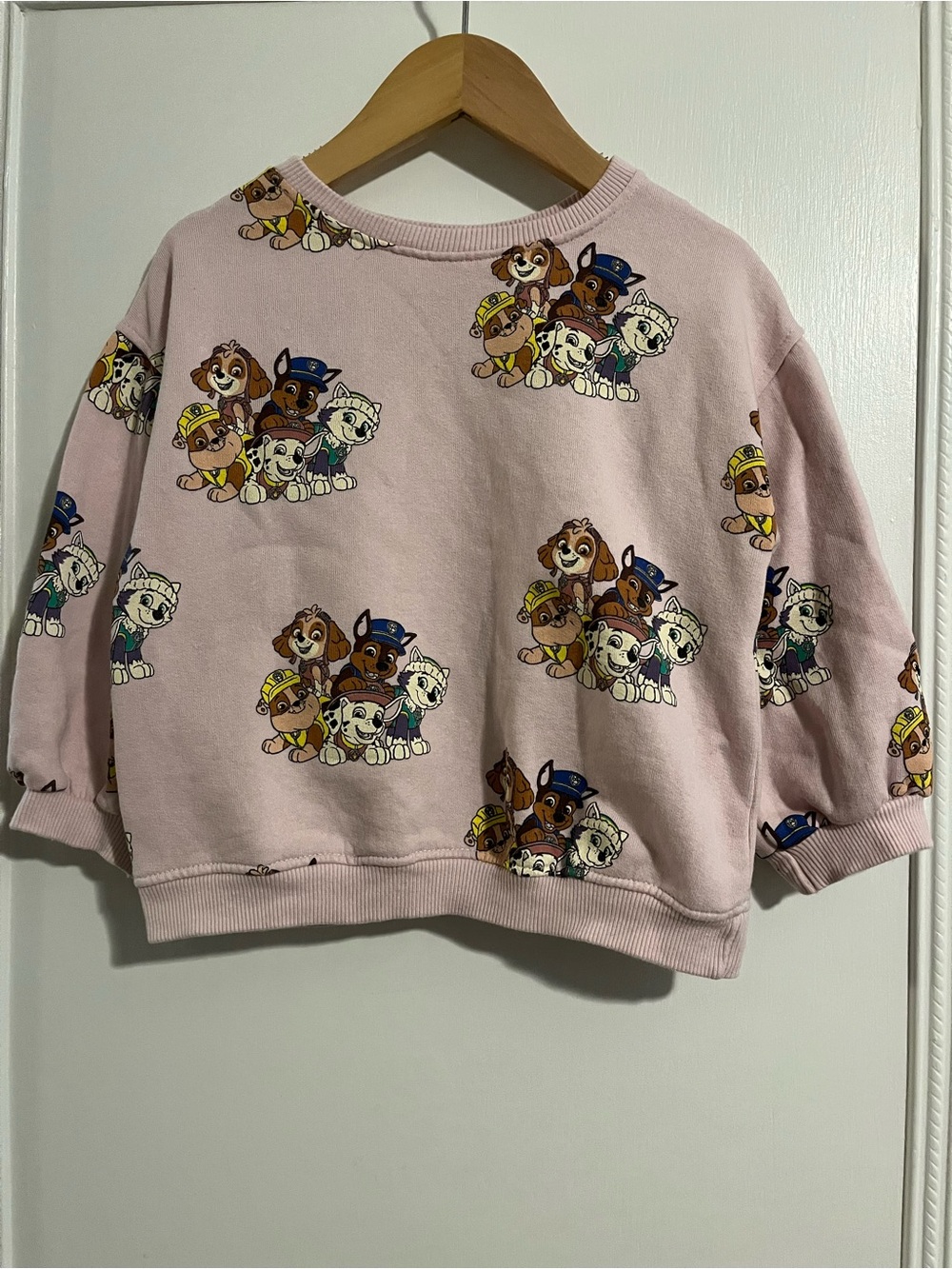 Zara Paw Patrol Sweatshirt - 3-4